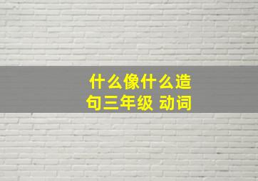 什么像什么造句三年级 动词